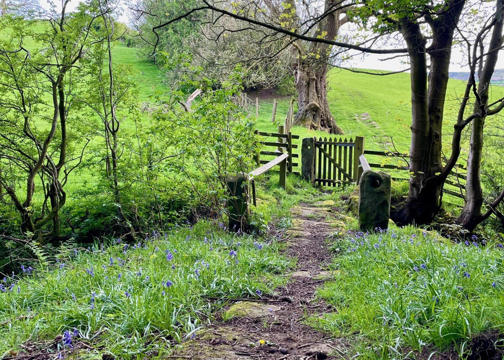 Church House Farm Danby Luaran gambar